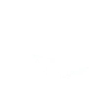 grupo_cerinnov